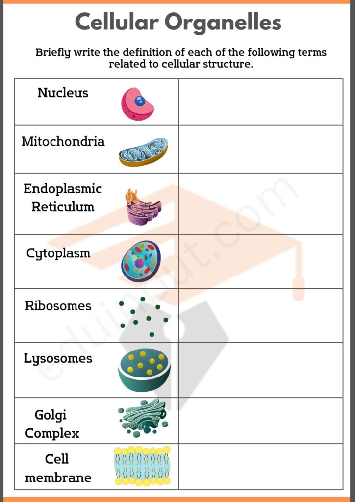 Write definition of Cellular Organelles eduinput.comworksheet