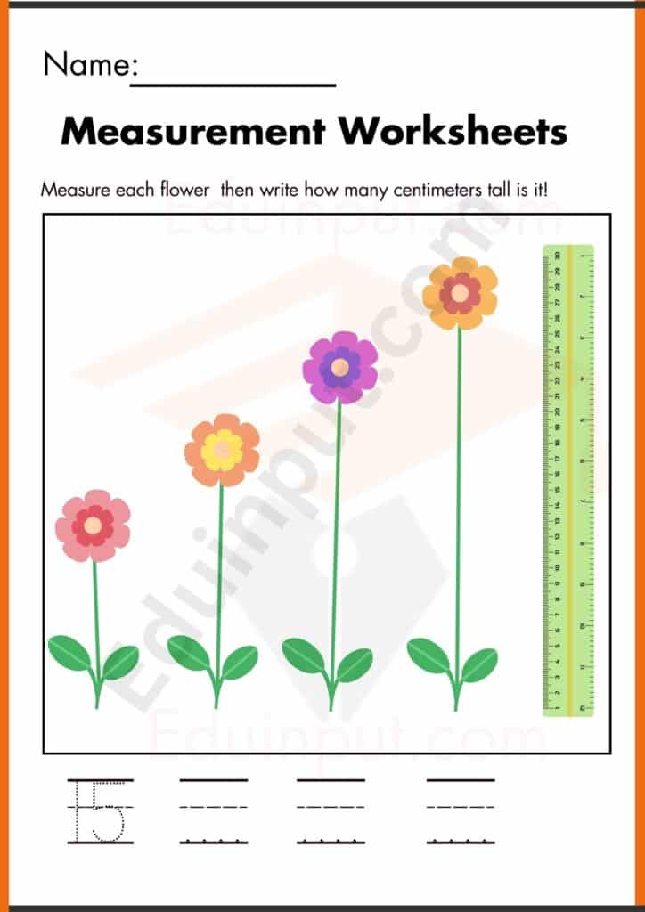 measurement kindergarten worksheets 3