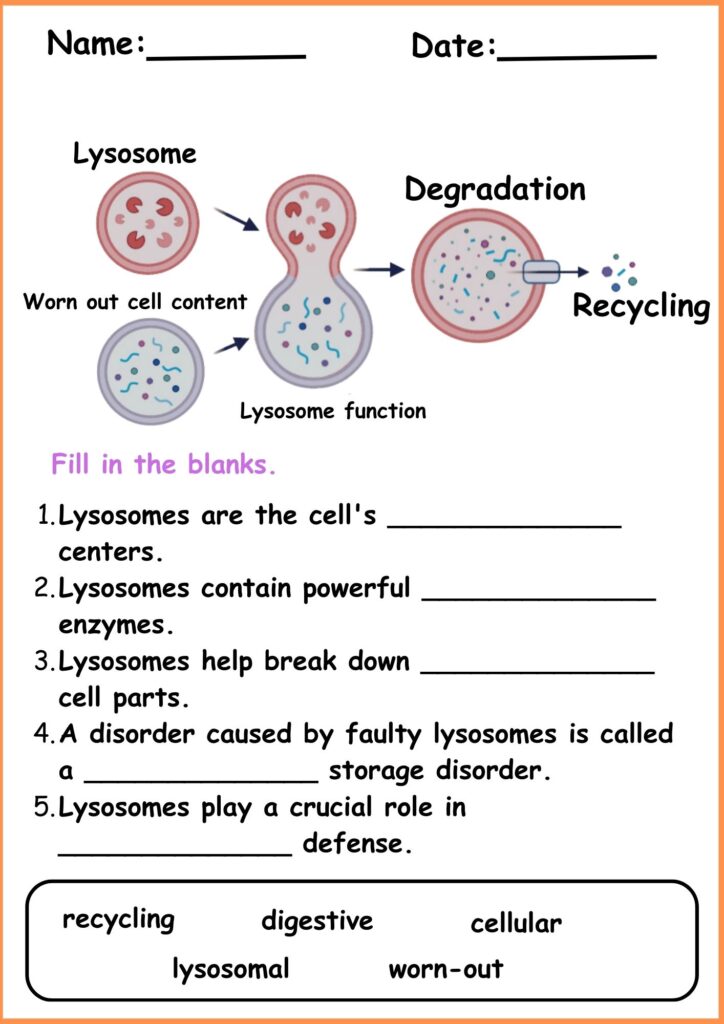 Image showing fill the blanks lysosomes worksheets