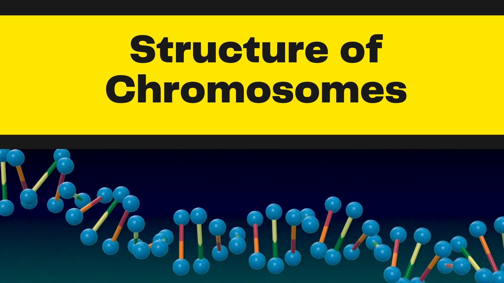 What is Chromosome? | Structure and Types of Chromosomes