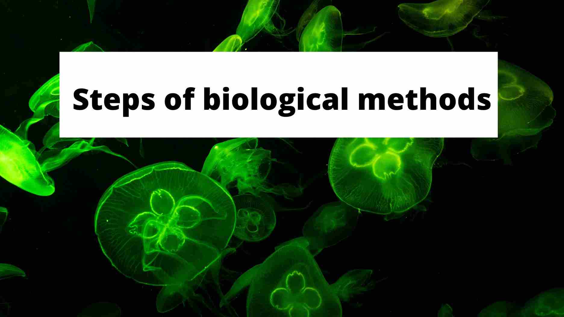 Biological Methods-Step-By-Step Guide