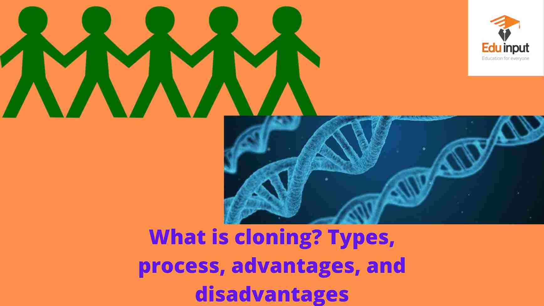 What is cloning? Types, process, advantages, and disadvantages