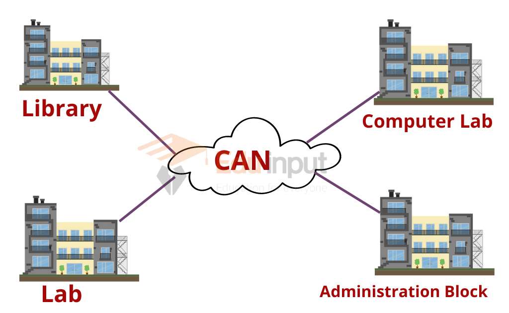 Image showing the Campus Area Network
