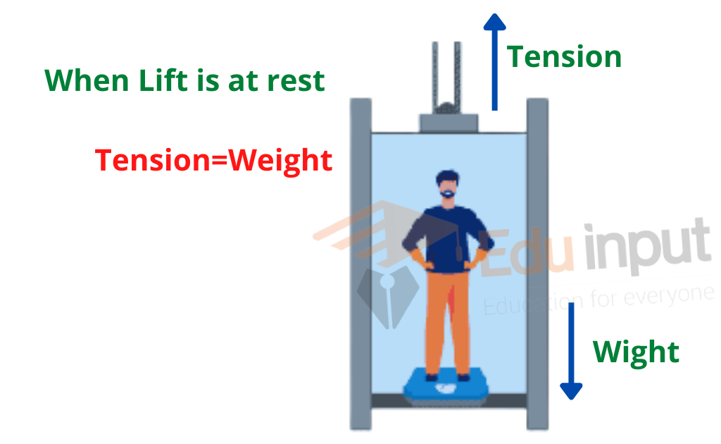 image showing the real and apparent weight when life is at rest