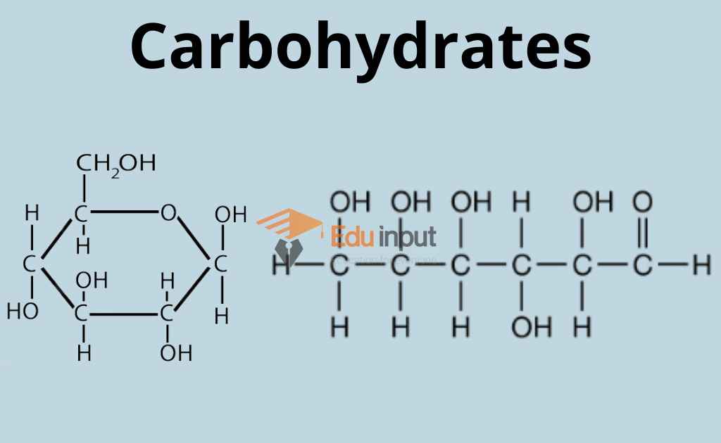 Carbohydrates | Classification of Carbohydrates