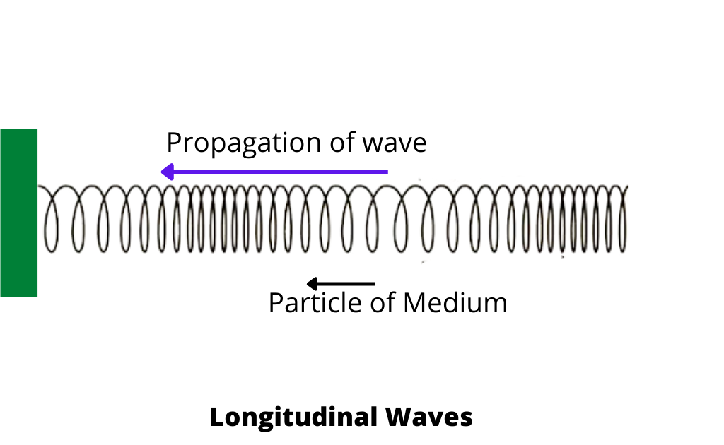 image showing the spring producing the Longitudinal waves