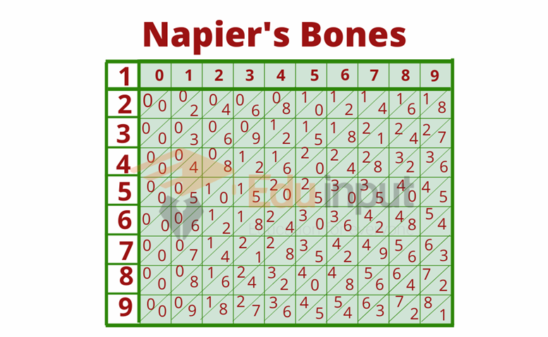 image showing the Napier Bones