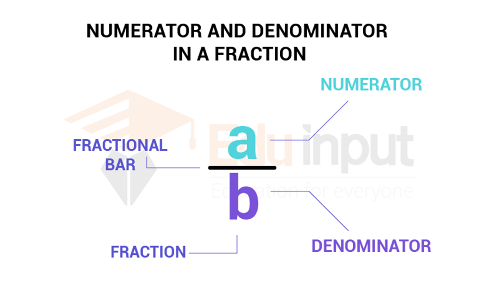 What is Numerator Mean in Math?