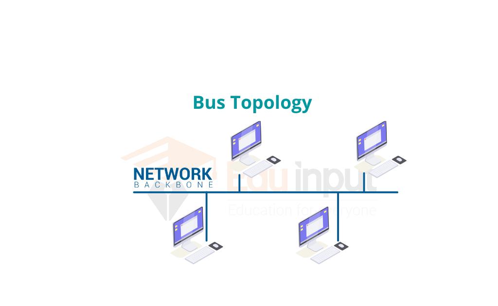 image showing the Bus topology