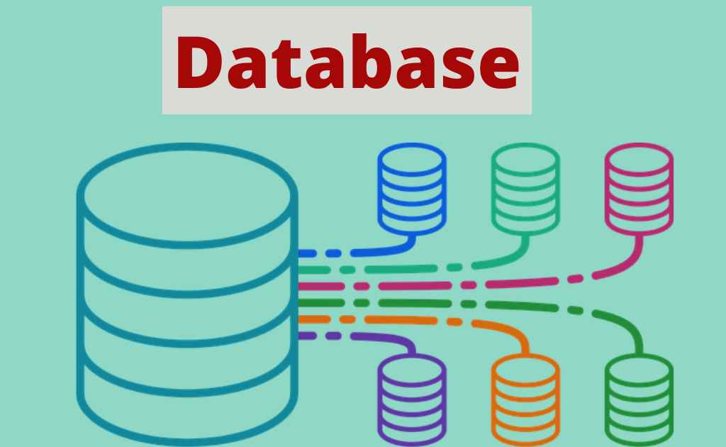 What are Database-Types of Database