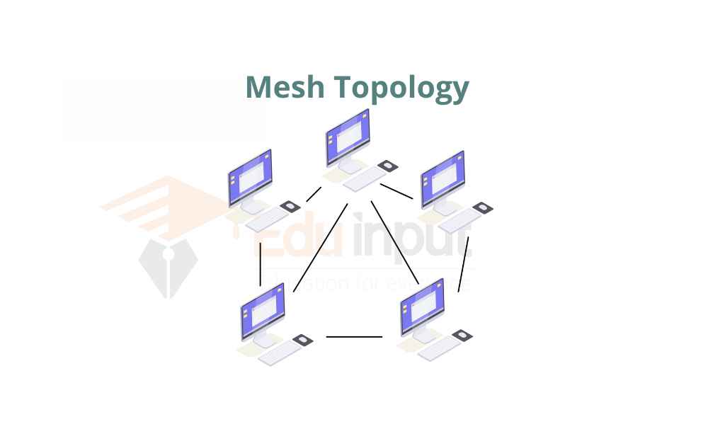image showing theMesh topology