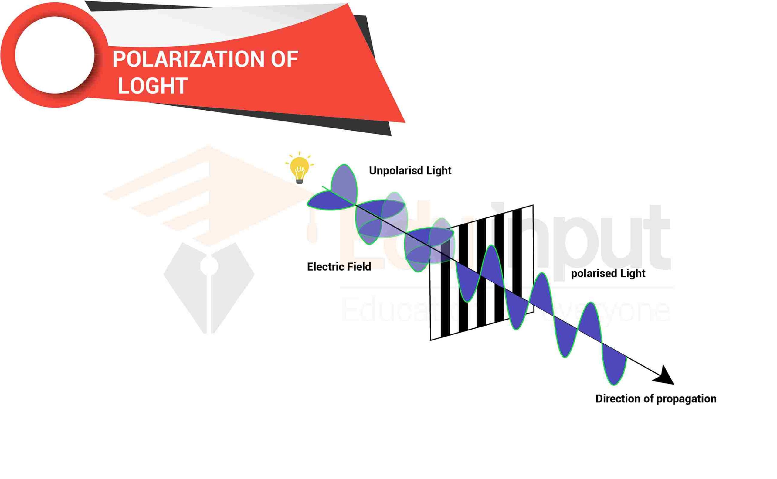 Polarization of Light |  Production & Detection of Plane Polarized Light