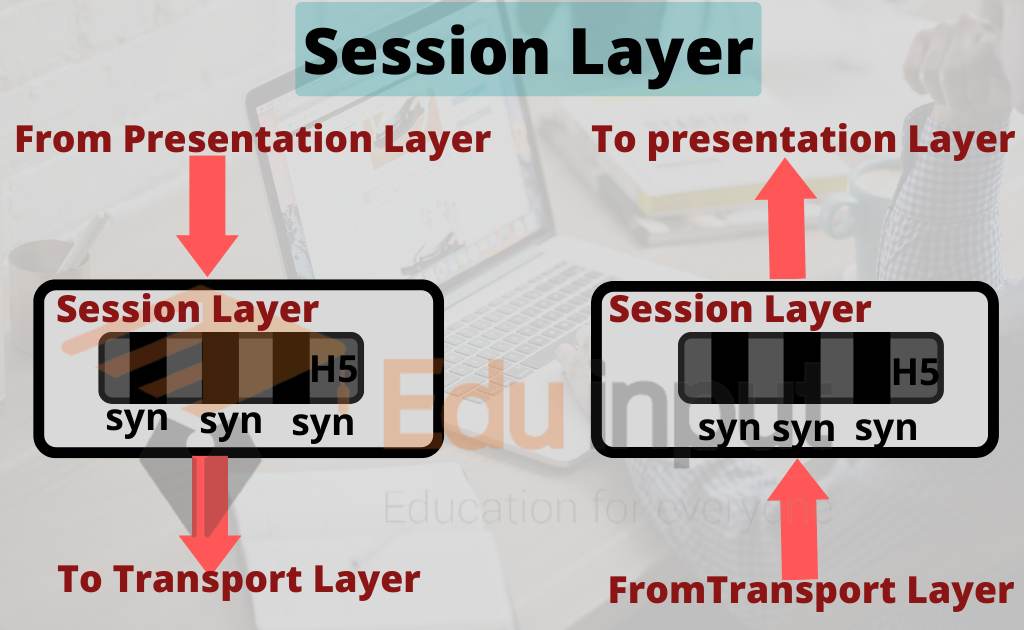 Transport Layer of OSI Model | Session Layer of OSI Model