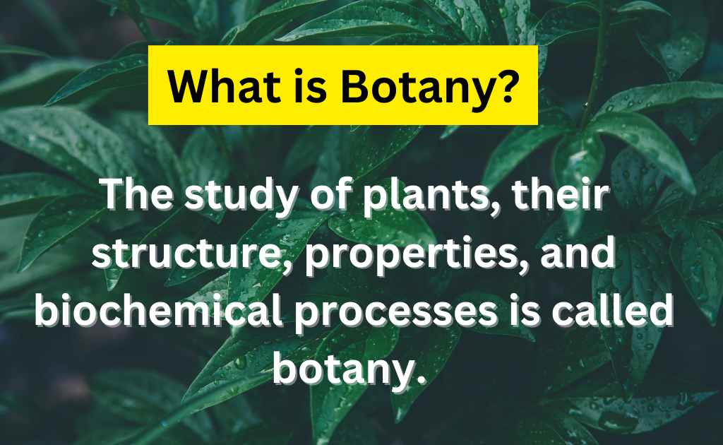 What-is-Botany-1_11zon.jpg&nocache=1