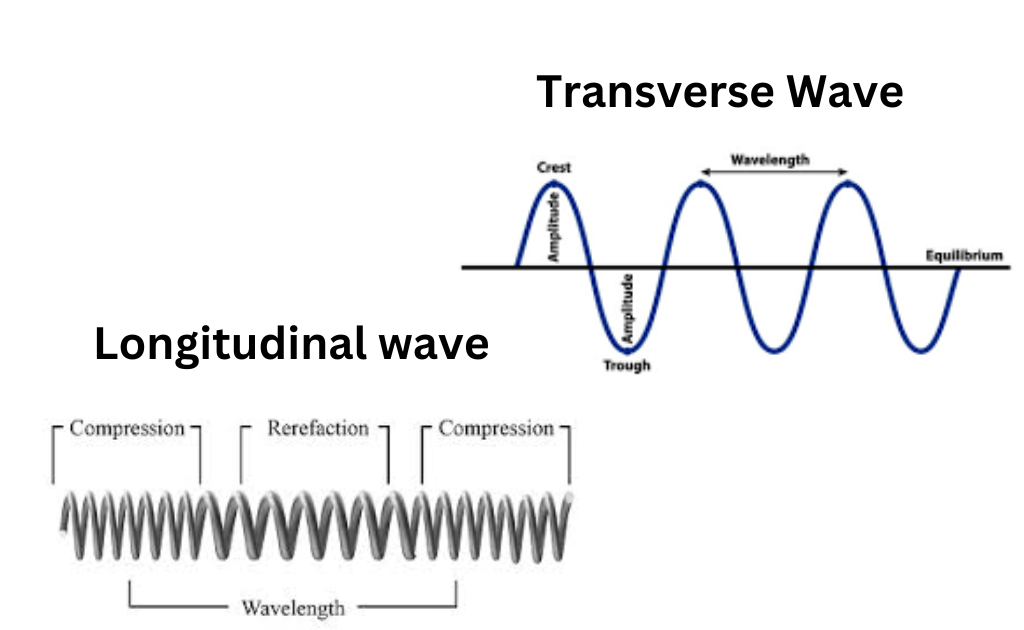 image showing the Difference between Longitudinal and Transverse Wave