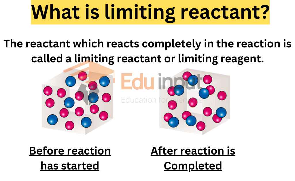 What is the limiting reactant? Explained with Examples