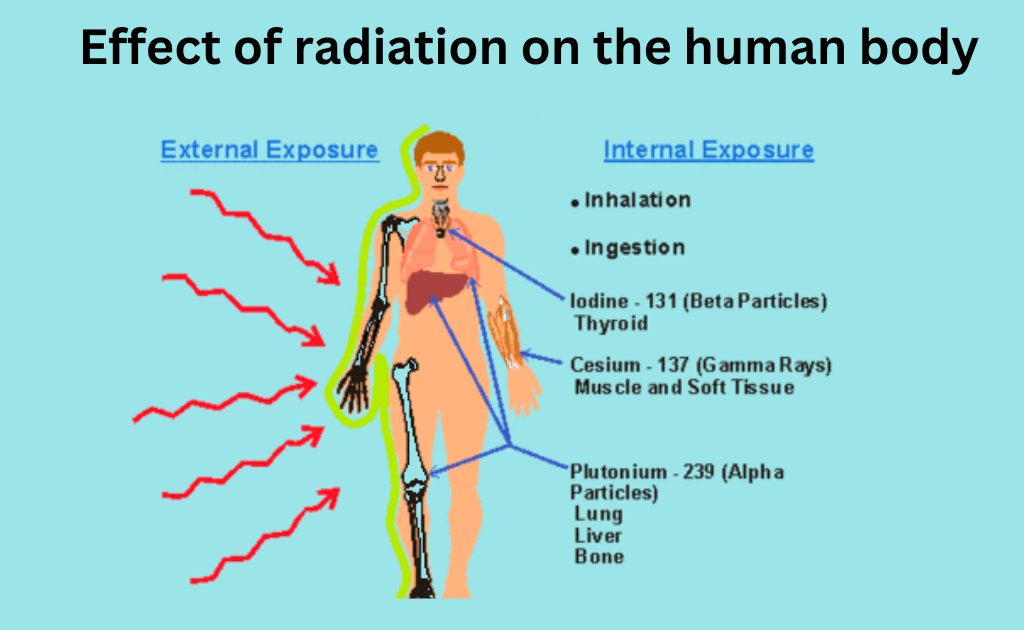 image showing the effect of radiation on the human body
