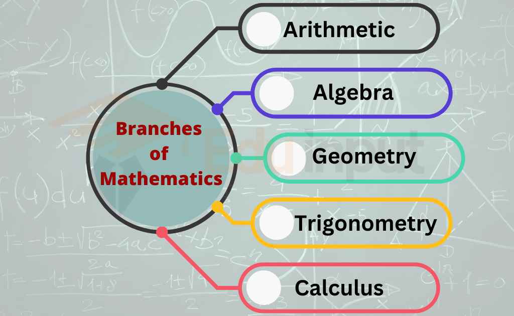 image of branches of math