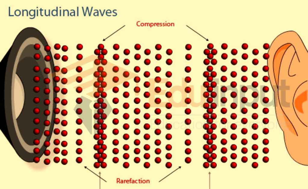 How does the energy in a longitudinal wave move?
