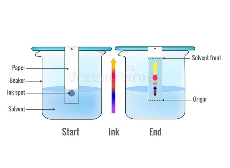 Chromatography- introduction, definition, types, uses