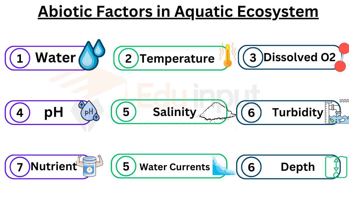 Abiotic Factors in Aquatic Ecosystem