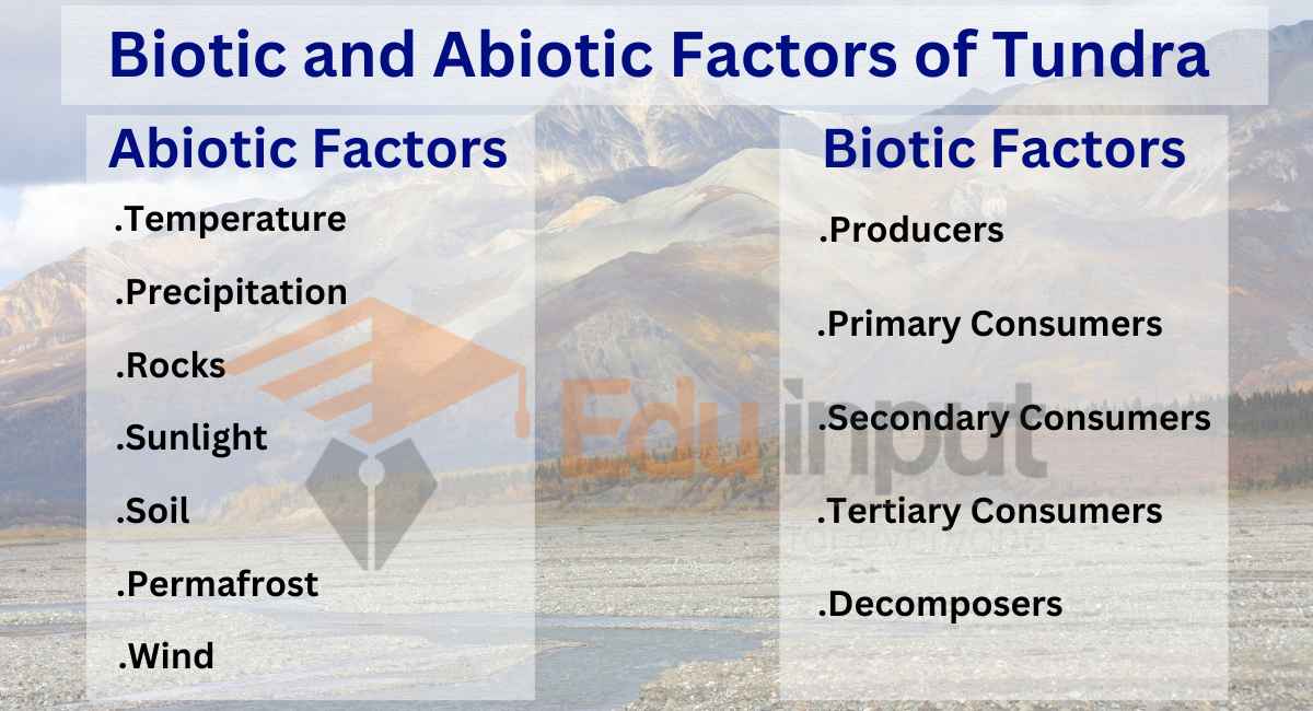 Biotic and Abiotic Factors of Tundra Ecosystem