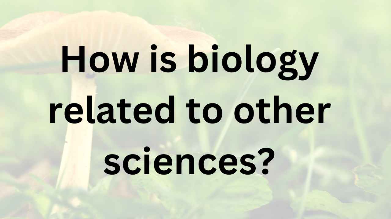Relationship of Biology With other Sciences-Eduinput