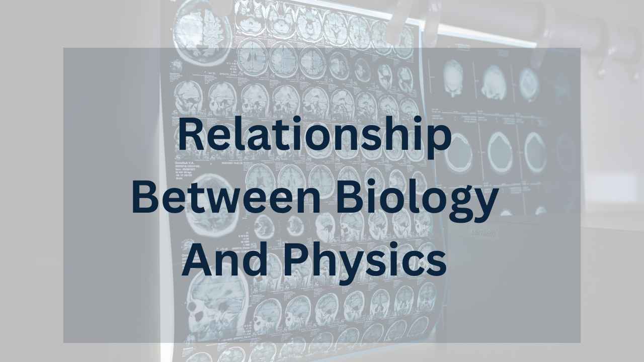 Relationship Between Biology And Physics-Eduinput