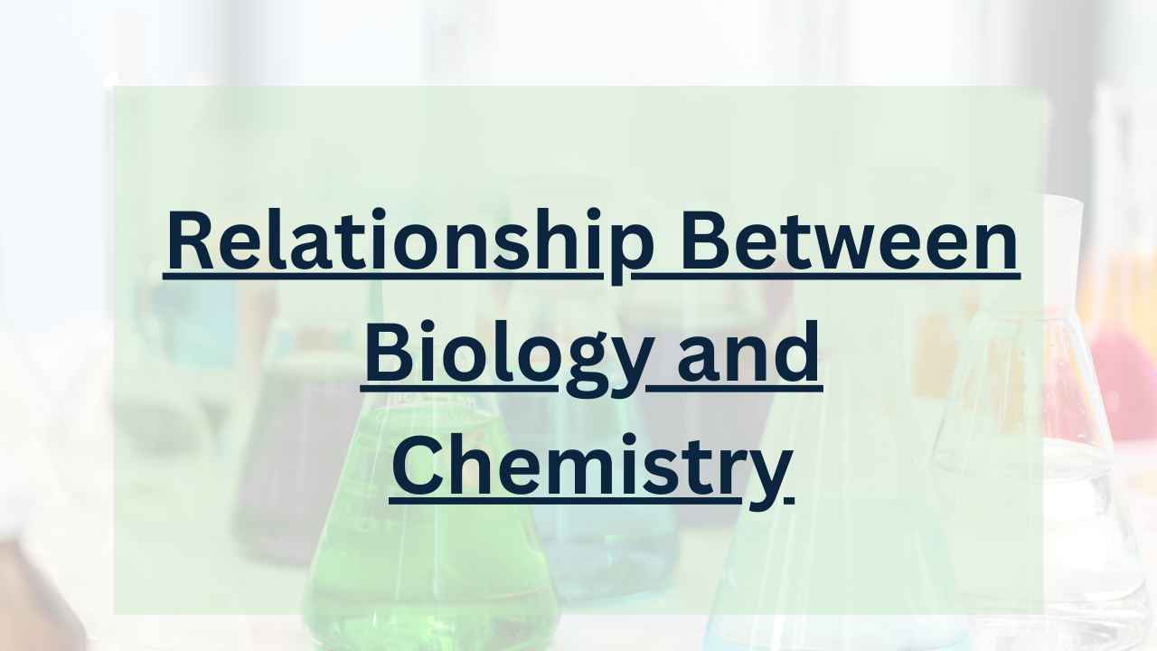 Relationship Between Biology And Chemistry-Eduinput