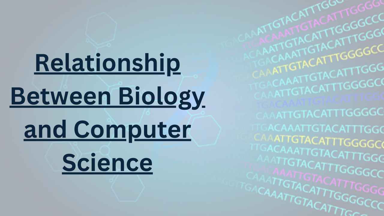 Relationship Between Biology and Computer Science