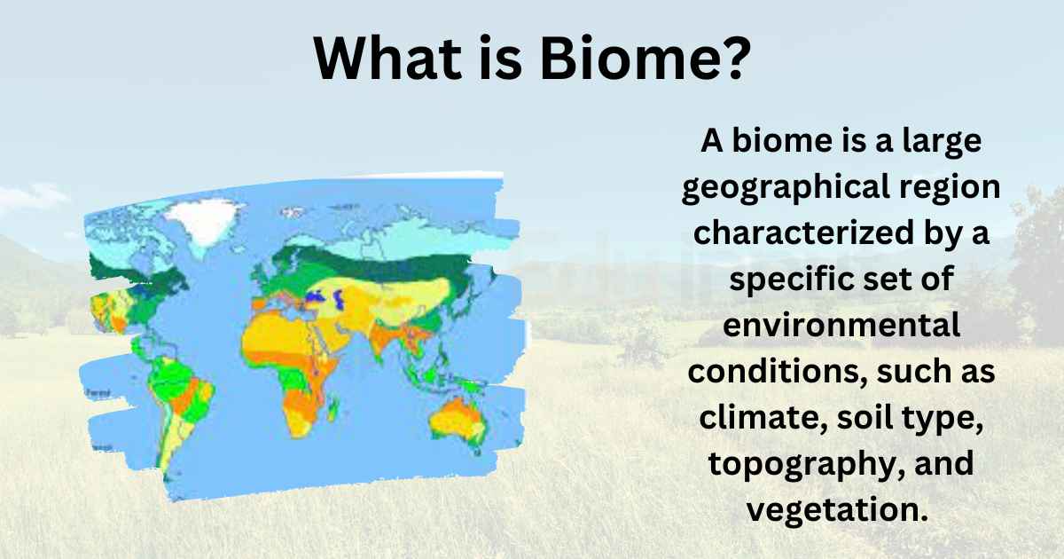 What is Biome? (Definition, Types, Examples and Importance)