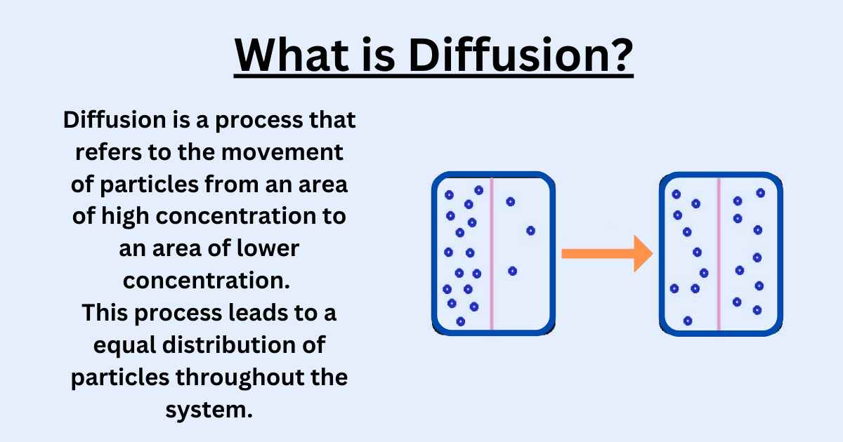 What is Diffusion? (Types, Examples, And Factors)