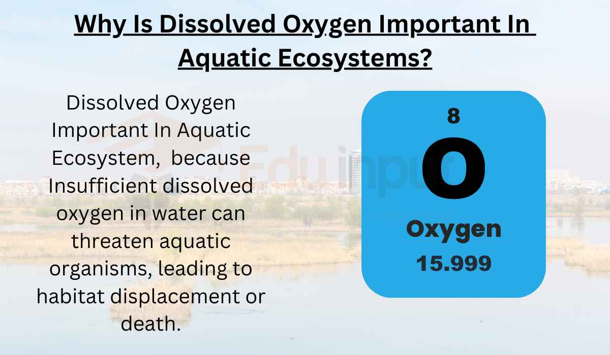Why Is Dissolved Oxygen Important In Aquatic Ecosystems?
