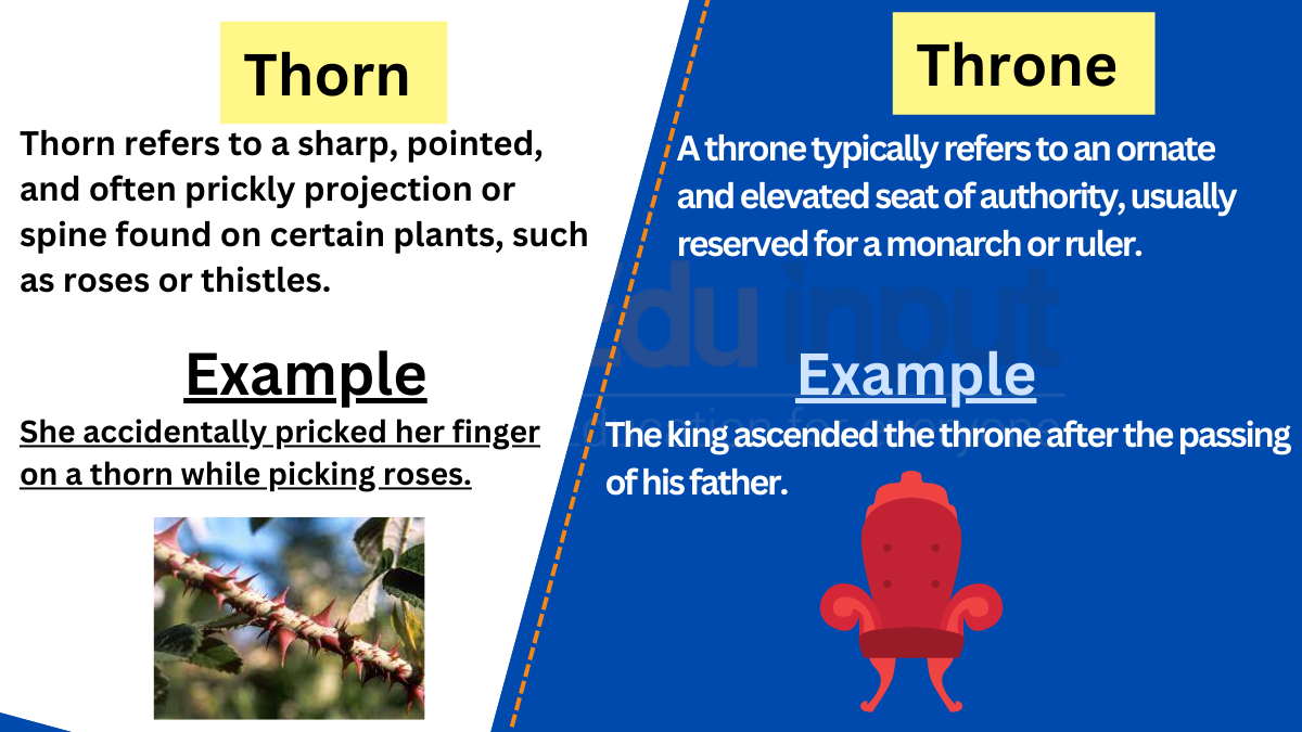 Thorn vs. Throne-Difference between and Examples