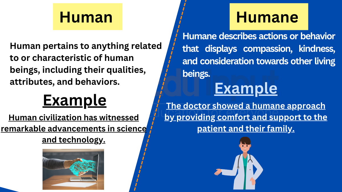 Human vs. Humane-Difference between and examples