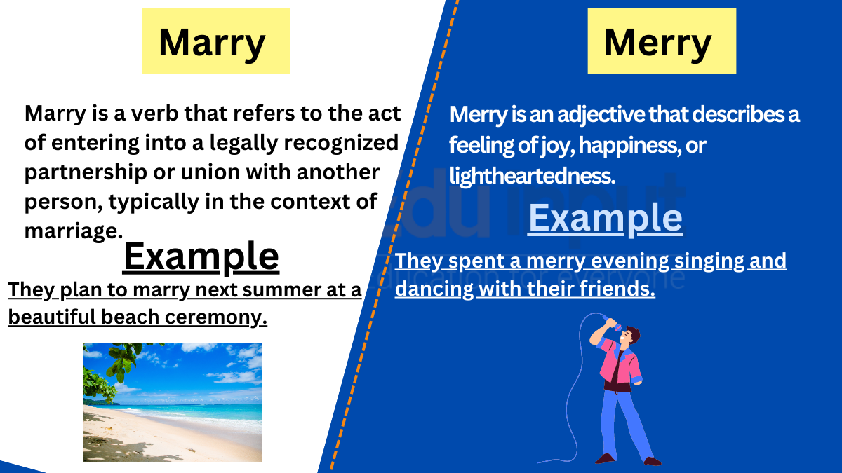 Marry vs. Merry-Difference between and examples