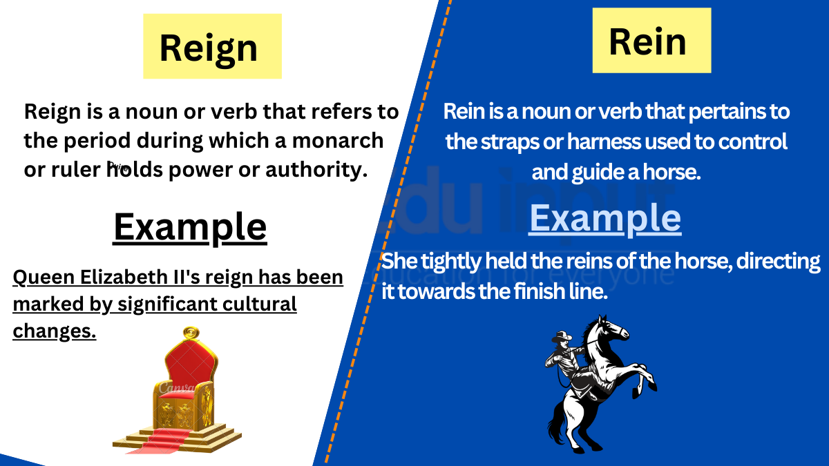 Reign vs. Rein-Difference between and Examples