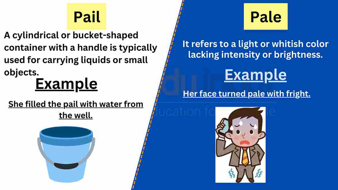 Pail vs Pale-Difference Between And Example