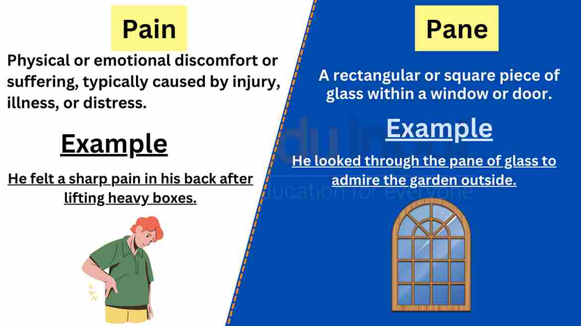 Pain vs Pane-Difference Between And Example