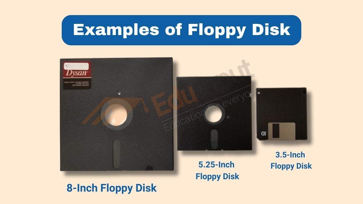 10 Examples of Floppy Disks