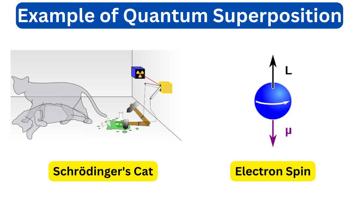 10 Example of Quantum Superposition