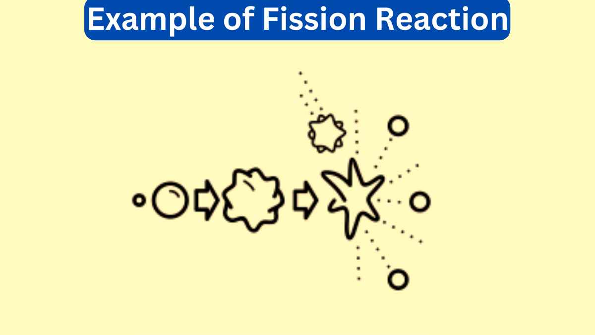 10 Examples of Fission Reaction
