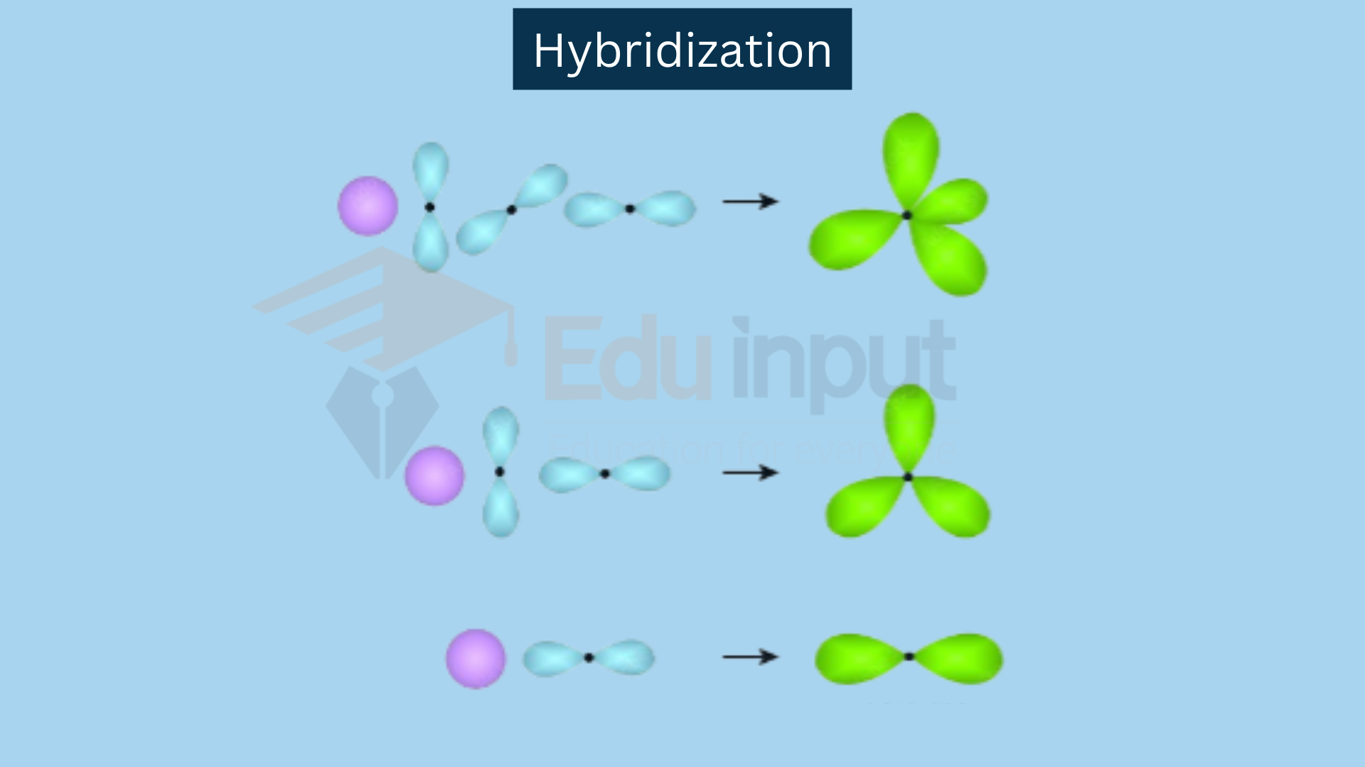Hybridization, definition, types and significance