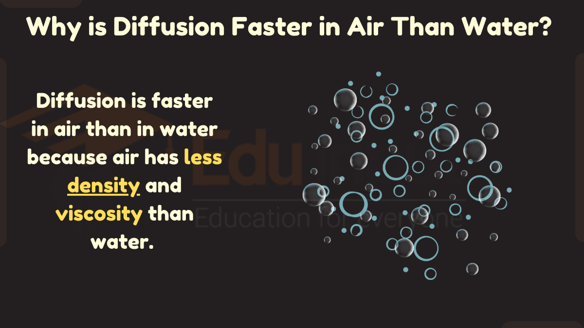 Why is Diffusion Faster in Air Than Water?
