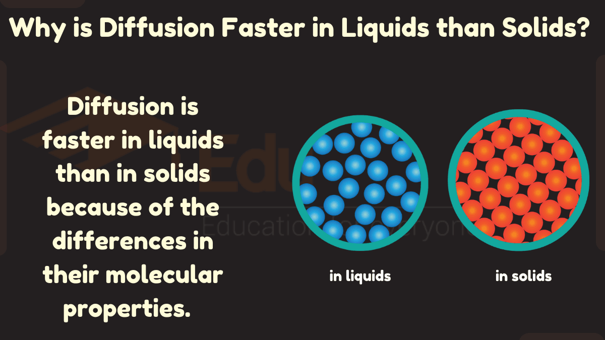 Why is Diffusion Faster in Liquids than Solids?