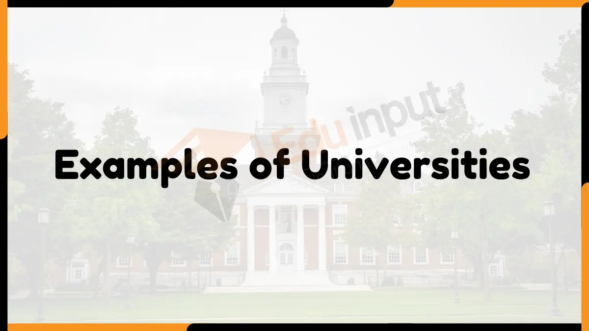 20 Examples of Universities